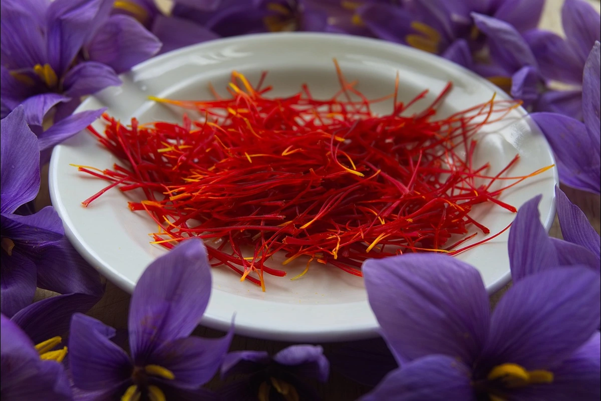 manfaat bunga saffron untuk wajah