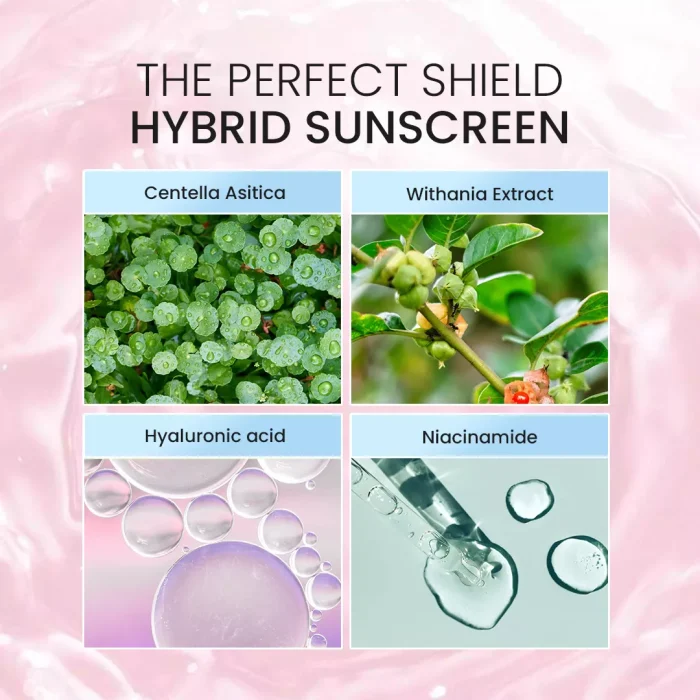 Noera The Perfect Shield Sunscreen _Kandungan