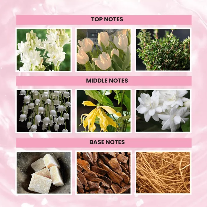 Hint Noble Extrait De Parfume -notes