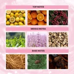 Hint Zencha Fragrance Tea Series -notes