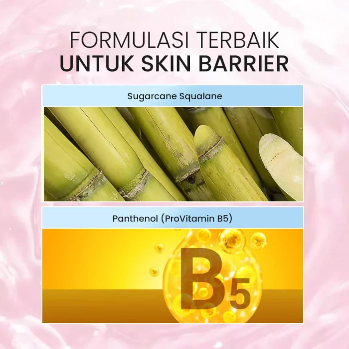 STUDIO TROPIK Fresh Skin Barrier Cream_Kandungan