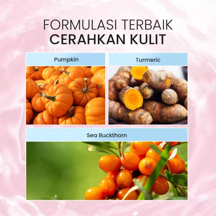 STUDIO TROPIK Pumpkinu Skin Tonic_Kandungan